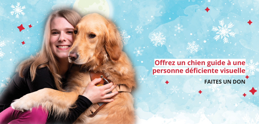 Une maîtresse de chien guide fait un calin à son chien guide. Leur photo est sur un fond bleu, composé de flocons de neige et d'étoiles rouges. Il est écrit, à droite de l'image &quot;Offrez un chien guide à une personne déficiente visuelle. Faites un don.&quot;.