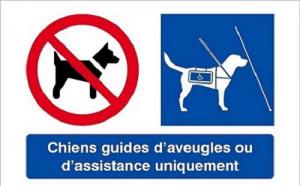 Pictogramme chiens guides d'aveugles ou d'assistance uniquement 