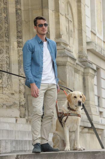 un homme se tient avec son chien guide d'aveugle, un labrador 