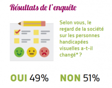 Infographie : Selon vous, le regard de la société sur les personnes handicapées visuelles a-t-il changé* ?  Oui 49% et Non 51%