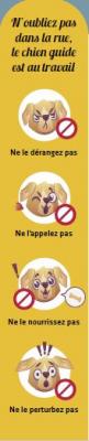 Infographie : N'oubliez pas dans la rue, le chien guide est au travail. Il ne faut ni le déranger, ni l'appeler, ni le nourrir, ni le perturber. 