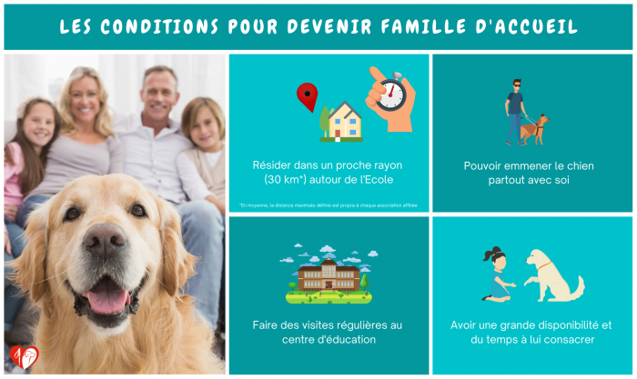 Comment adopter un chien d'aveugle