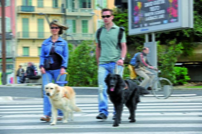 Une photo flou où l'on discerne deux personnes malvoyantes avec des lunettes de soleil qui promenent leurs chiens guides.