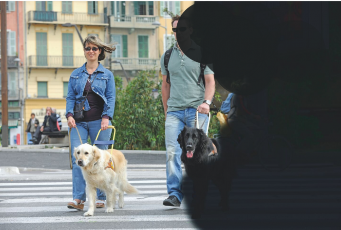 Deux personnes malvoyantes avec des lunettes de soleil qui promenent leurs chiens guides avec une grosse tache noire sur la partie droite de la photo