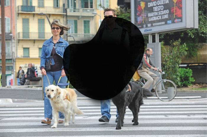 Deux personnes malvoyantes avec des lunettes de soleil qui promenent leurs chiens guides avec une grosse tache noire au milieu. 