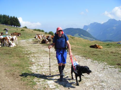 un homme qui se balade avec son chien guide dans la montagne 