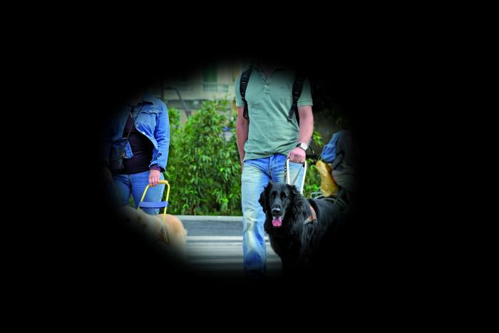 Deux personnes malvoyantes avec des lunettes de soleil qui promenent leurs chiens guides avec un cercle noir tout autour