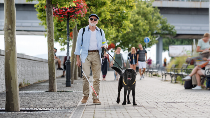 Un homme déficient visuel se balade dans la rue avec son chien guide 