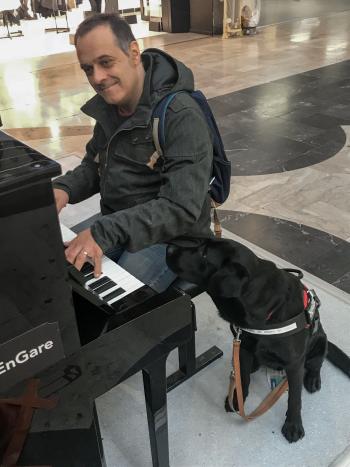 Un homme qui fait du piano avec son chien guide assis a côté 