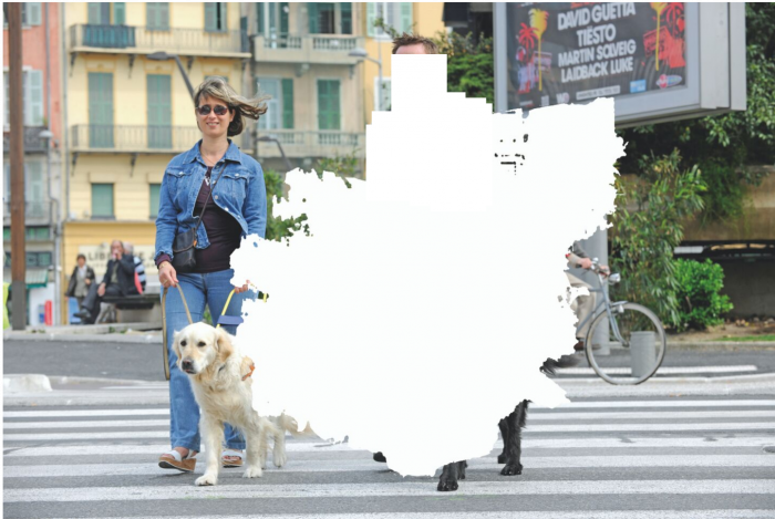 Deux personnes malvoyantes avec des lunettes de soleil qui promenent leurs chiens guides avec une grosse tache blanche au milieu. 