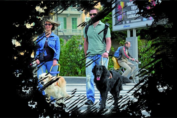 Deux personnes malvoyantes avec des lunettes de soleil qui promenent leurs chiens guides avec des taches noires qui encadrent la photo