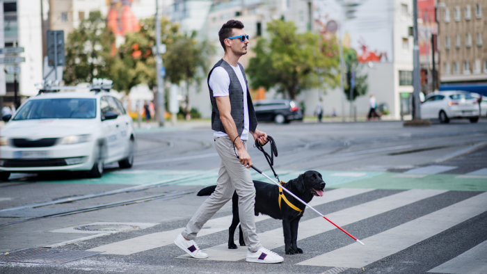 un homme aveugle traverse un passage piéton avec son chien guide