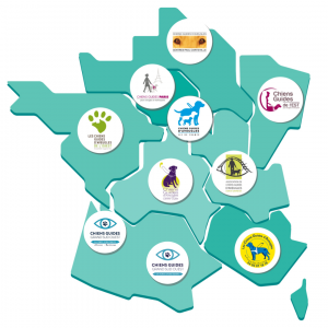Une carte de france avec toutes les écoles de chiens d'aveugles