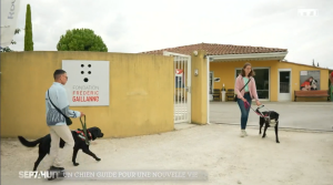 Une capture d'écran du reportage de &quot;Sept à huit&quot;. On aperçoit des enfants déficients visuels qui traversent le portail de l'association avec des chiens guides.