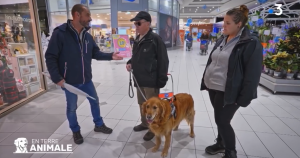 Capture d'écran du court reportage &quot;En terre animale&quot; avec Franck, le présentateur, un bénéficiaire avec son chien guide et une éducatrice de l'école de Cernay..