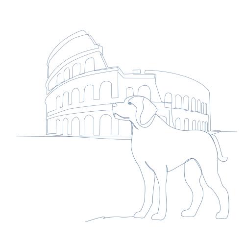 Illustration d'un chien guide devant le Colisée à Rome.