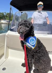 Un caniche est assis sur un bateau. Une personne se trouve en arrière plan en train de diriger le bateau.