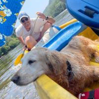 Gennie, un labrador de couleur sable qui repose sa tête sur le bord du canoé. En arrière plan se trouve une personne qui pagaye.