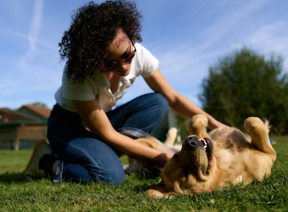 Une éducatrice a un moment de jeu avec un chien guide.
