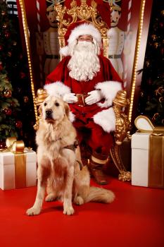 Photo du Père Noel sur son trône avec un chien guide.