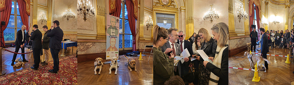 Bandeau de photos de la sensibilisation de chien guide de l'Ecole de chien guide de Paris. Sur la troisième et quatrièeme photos, il y a la présence de la présidente de l'Assemblée nationale , Yaël Braun-Pivet, le ministre des solidarités et des familles Aurore Bergé et le président de la FFAC Paul Charles.