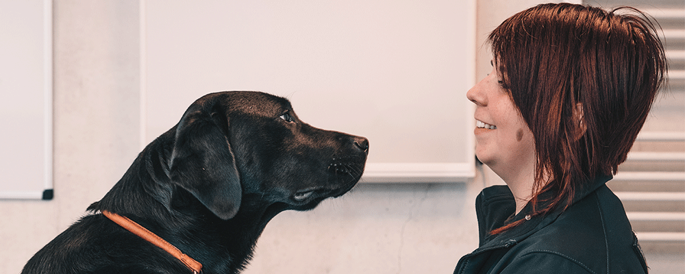 Photo d'une éducatrice qui sourit à un chien guide, labrador noir