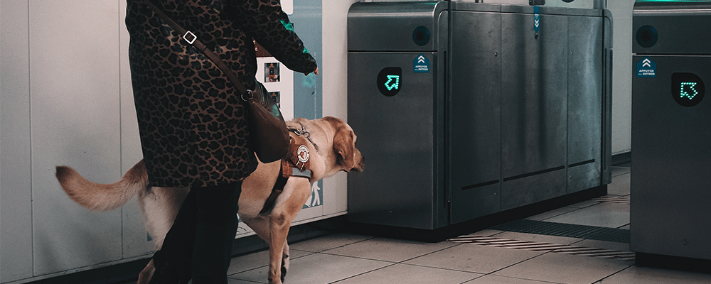 Photo d'une femme déficiente visuelle avec son chien guide, essayant de passer les portiques d'un transport en commun.